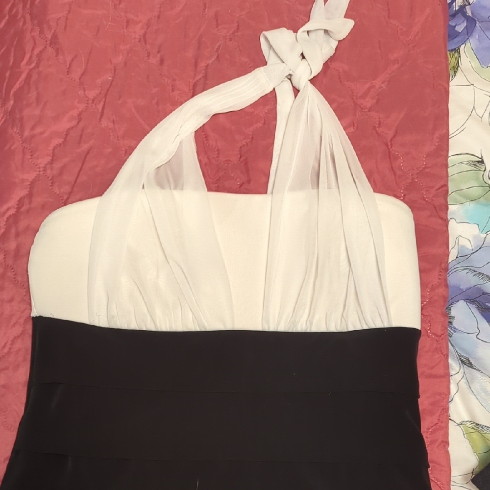 Enfocus Studio Classic Black and White Dress